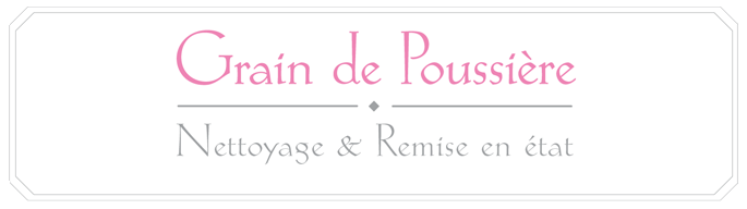 Vous cherchez une entreprise spécialisée dans le nettoyage professionnel à Paris ? Contactez Grain de Poussière dès maintenant ! 
